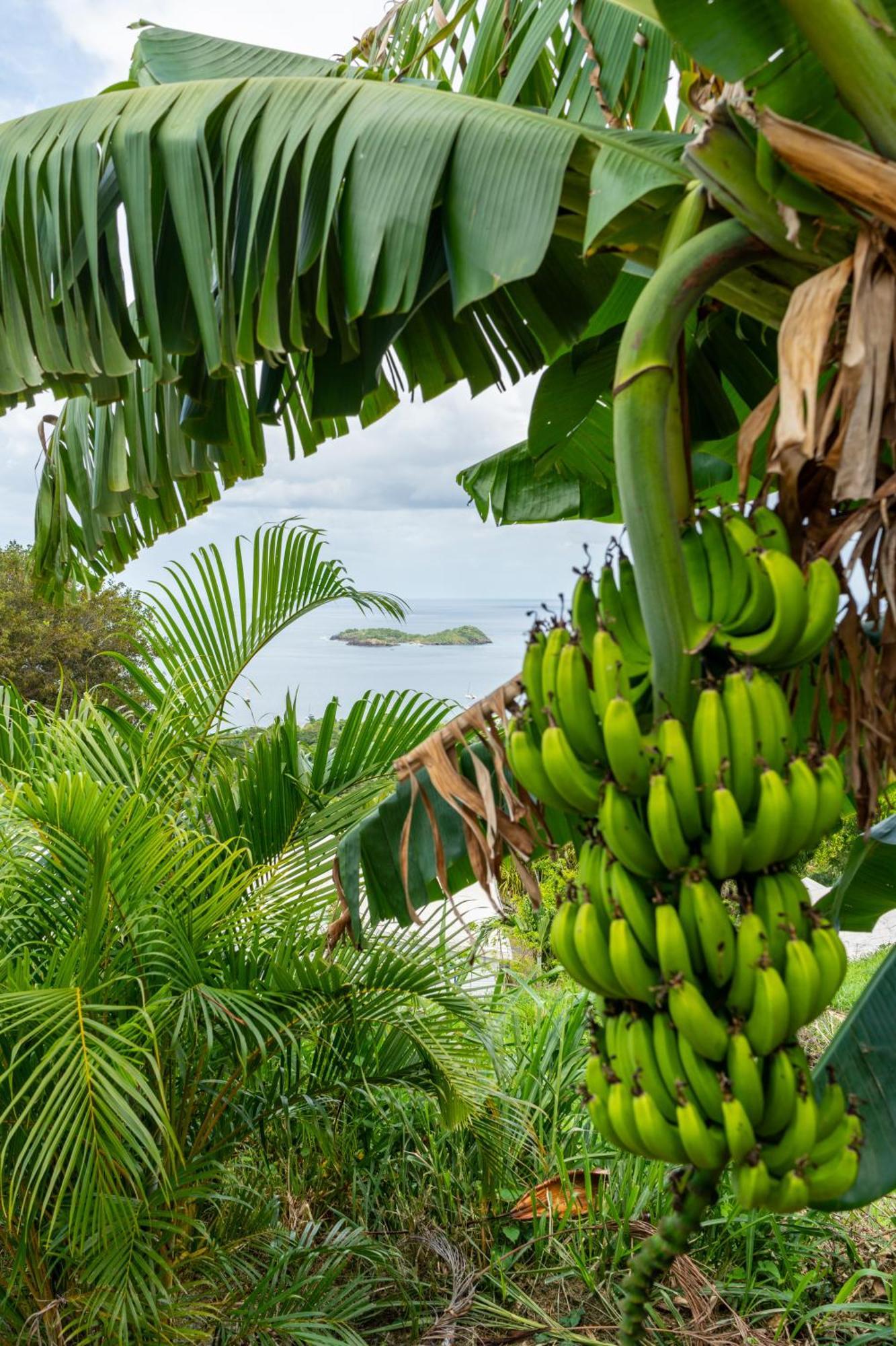 Calypso Bay Villa Bouillante Bagian luar foto
